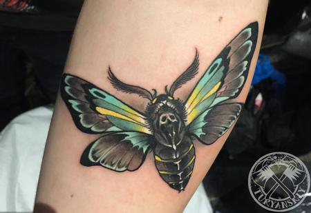 Tattoos - Moth Tattoo - 115864